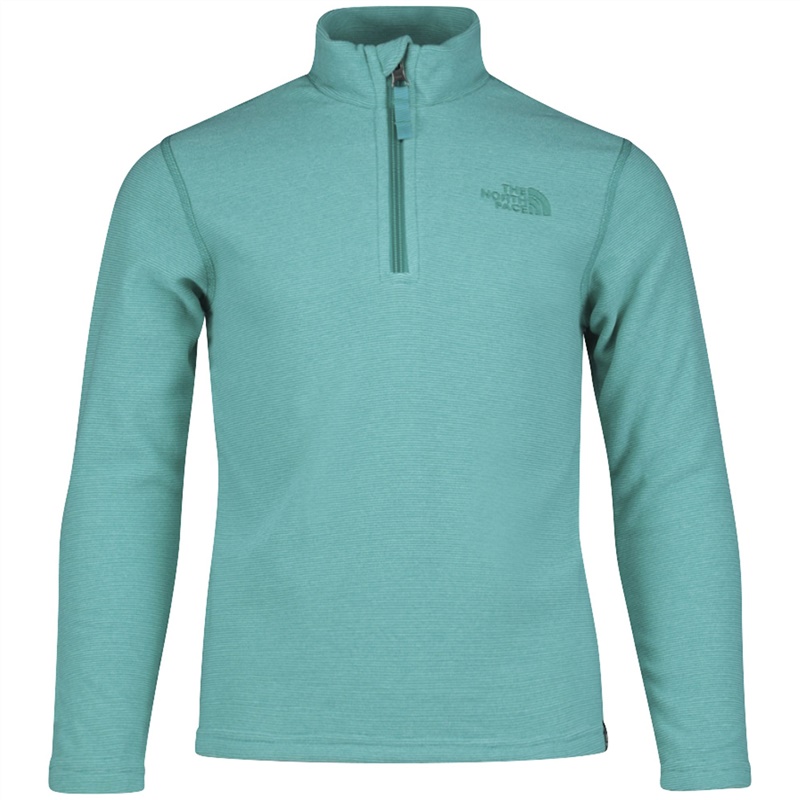 1 4 zip. Флисовая кофта the North face. Флисовая кофта the North face зеленая. Кофта 1/4 zip.